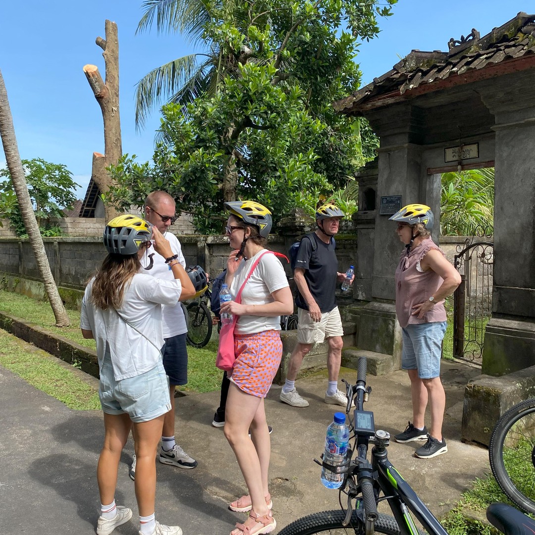 Mtb Rice Ubud: Downhill Bike Tour with Rice Fields, Volcano and Meal | GetYourGuide