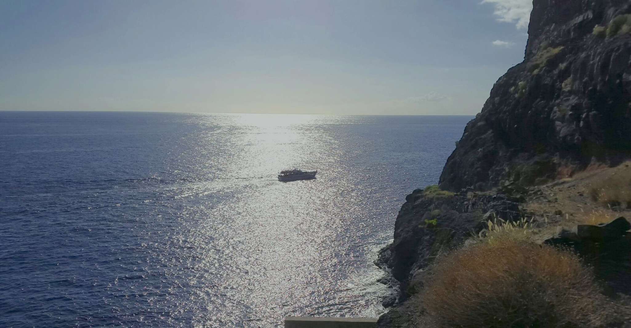 La Gomera, Whale Watching Tour on an Vintage Boat - Housity