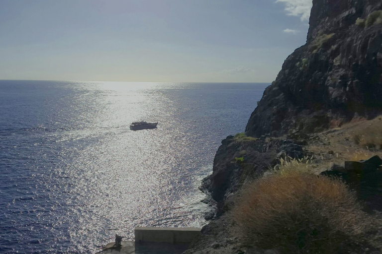 La Gomera: Passeio de barco para observação de baleiasExcursão do Vale Gran Rey