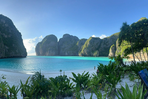 Phuket : Phi Phi Monkey Beach with Snorkeling & Lunch