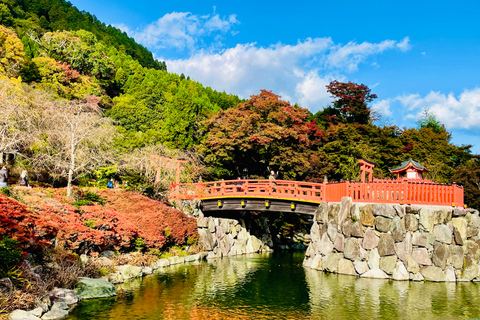 Kyoto: Private guided Tour with English speaking guide