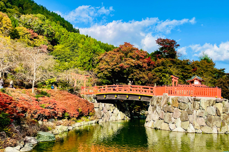 Kyoto: Private guided Tour with English speaking guide