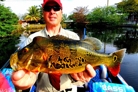 Peacock Bass Fishing Trips Near Miami Florida Peacock Bass Fishing Trips Near Miami Florida