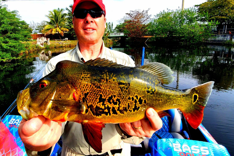 Peacock Bass Fishing Trips Near Miami Florida Peacock Bass Fishing Trips Near Miami Florida
