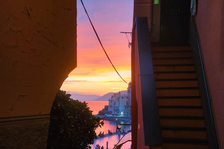 Baignade avec les cétacés Visite privée en bateau Genova Portofino