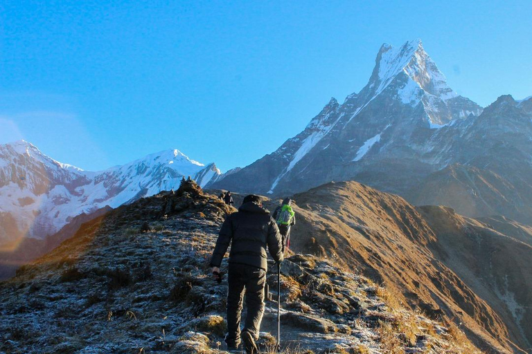 5 Days Mardi Himal Base cam Trek All Inclusive option Private Trek Tour without Meals