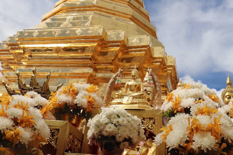 Doi Suthep & Pha Lat Temple, Sticky Waterfall, Orchid Farm Doi Suthep Temple & Sticky Waterfall &Pha Lat Temple (Join )