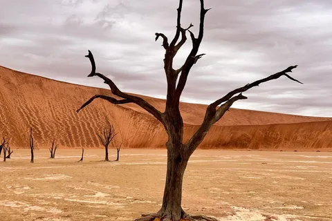 Sossusvlei: Excursión de un día