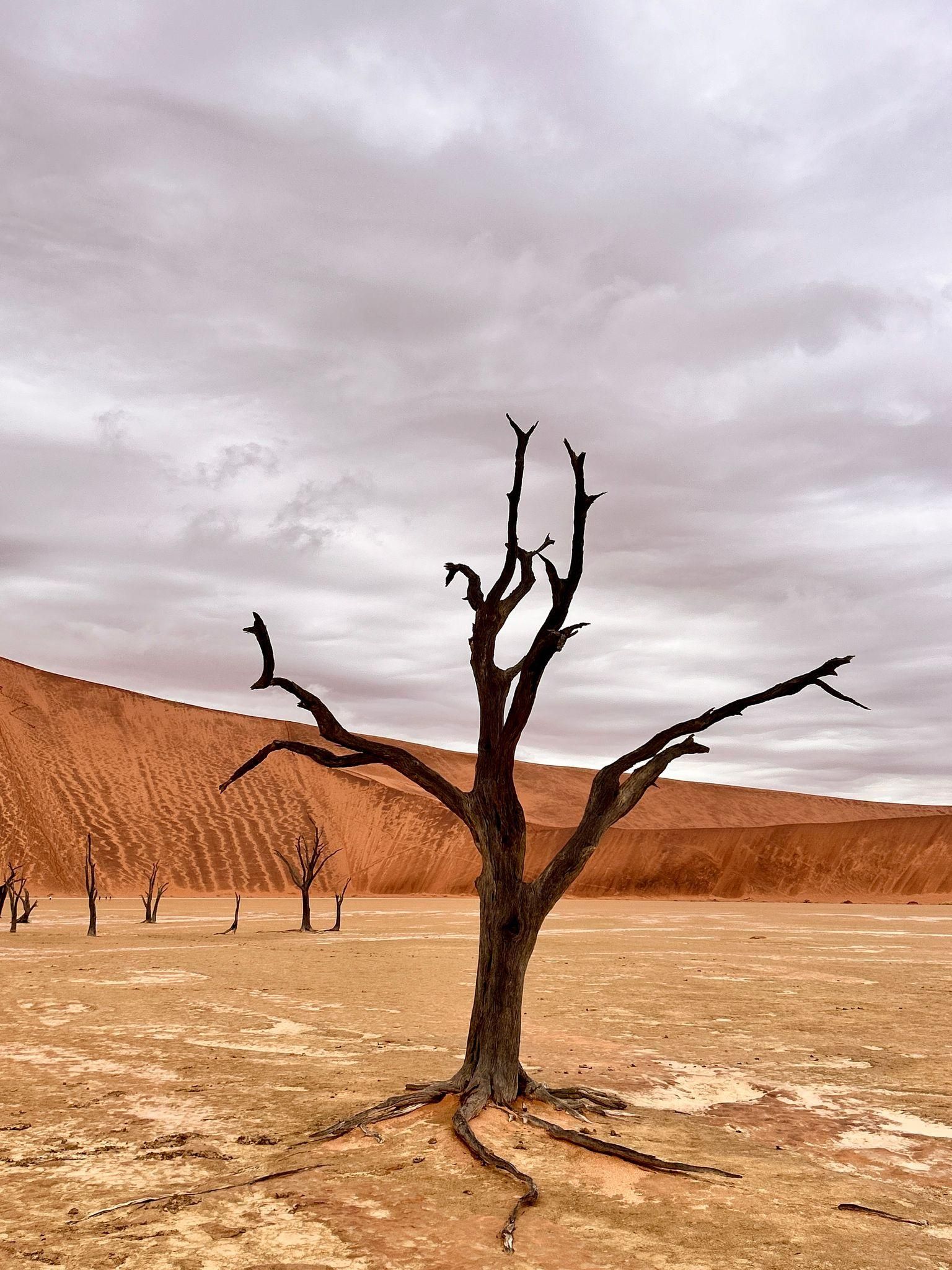 Sossusvlei: Tagestour