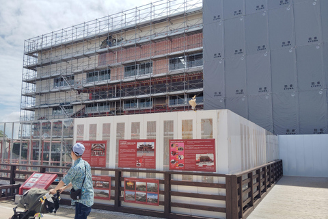 Naha: Shurijo Castle & Tamaudun Guided Walking Tour Morning visit