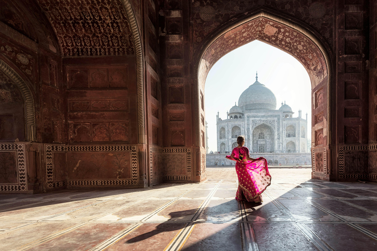 Agra: Skip-the-line Taj Mahal and Agra Fort Private Tour Tour without Taj Mahal and Agra Fort Entry fees