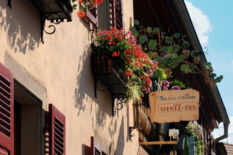 Wettolsheim: Organic Wine Tasting and Cellar Visit