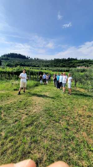 Bardolino: Wijngaard Tour met Wijn, Olijfolie & Proeverij