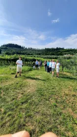 Bardolino: Weinbergstour mit Wein-, Olivenöl- und Lebensmittelverkostung