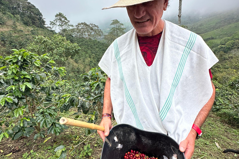 From Medellín: Coffee Farm Hiking & Exotic Fruit Marketplace