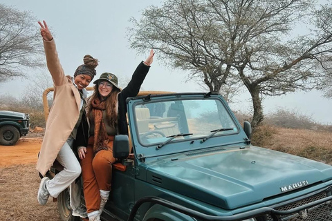 From Delhi: 5-Day Golden Triangle & Tiger Safari Journey Transportation and guide service only