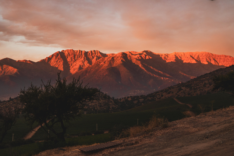 Santiago: El Principal Premium Winery in the Maipo Valley