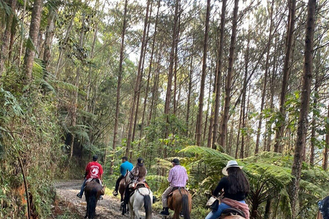 Medellin: Horseback Riding & Craft Beer, The Perfect Plan in the East