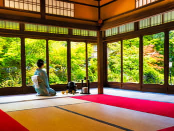 Tea Ceremony in a Garden Teahouse near Kiyomizu-dera