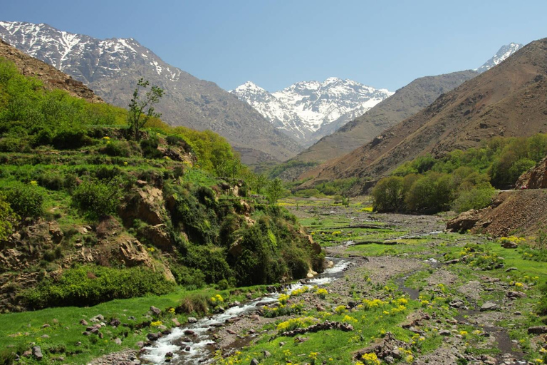 Marrakech: Agafay Desert, Atlas mountains & Waterfalls Tour Day Trip to Atlas Mountains & Agafay Desert With Lunch