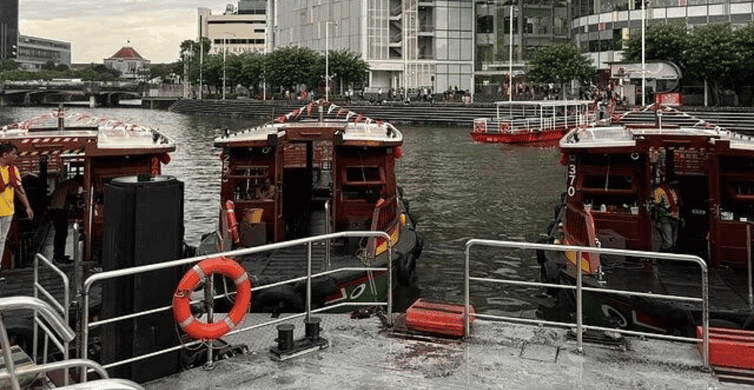 Singapore Twilights with River Cruise & Light Shows photo 15