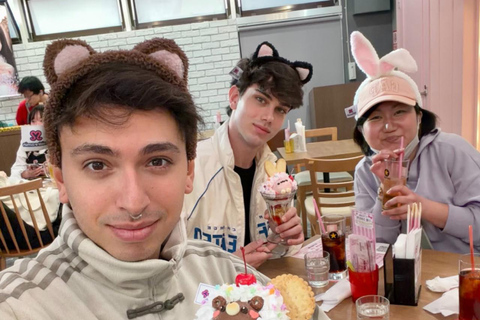 Akihabara Private Tour: Anime, Maid Café & Japanese Culture