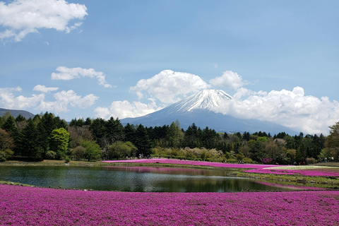 Tóquio: Excursão de 1 dia ao Monte Fuji e ao Templo do Pagode Preço mais baixo