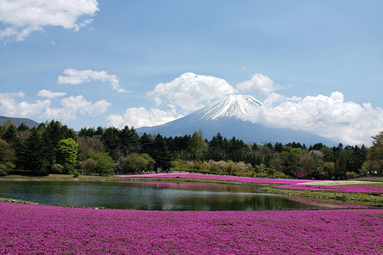 Tóquio: Excursão de 1 dia ao Monte Fuji e ao Templo do Pagode Preço mais baixo