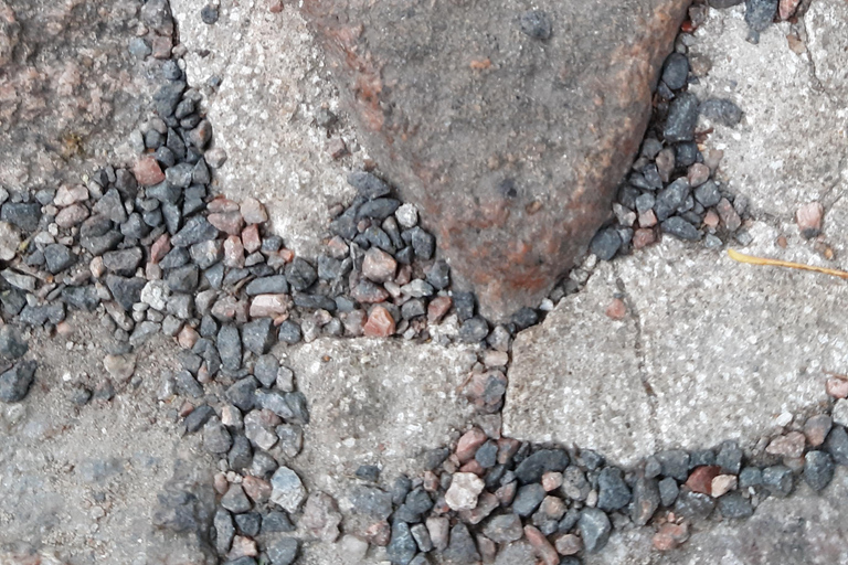 Tallinn : Visite guidée combinée des temps forts de cette ville merveilleuse !Tallinn : visite guidée combinée des temps forts de cette ville merveilleuse !