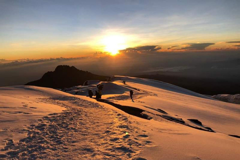 Tanzania: 6Day Kilimanjaro climb Machame route Private Treks