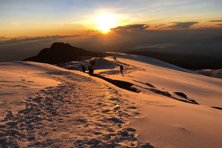 Tanzania: 6Day Kilimanjaro climb Machame route Private Treks