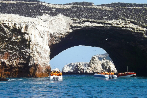 FD: Ica, Paracas - Ballestas Islands - Huacachina Excursion
