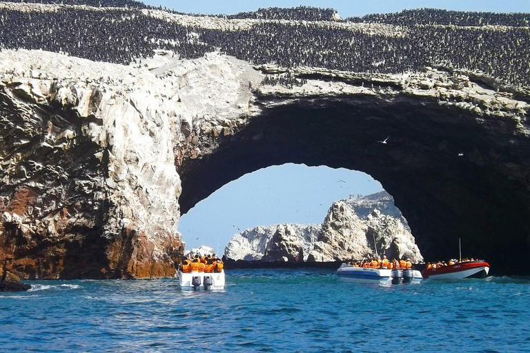 FD: Ica, Paracas - Ballestas Islands - Huacachina Excursion
