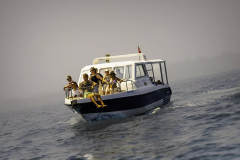 Discover Muscat by Sea - Private Coastal Cruise Charter
