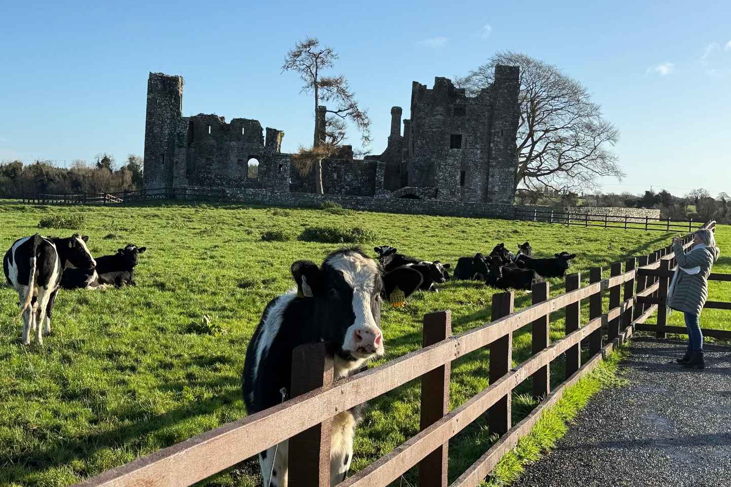 День в Ирландии: Холм Тара и замок Трим