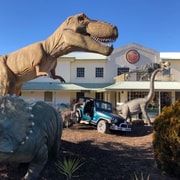 National Dinosaur Museum - Entry Ticket