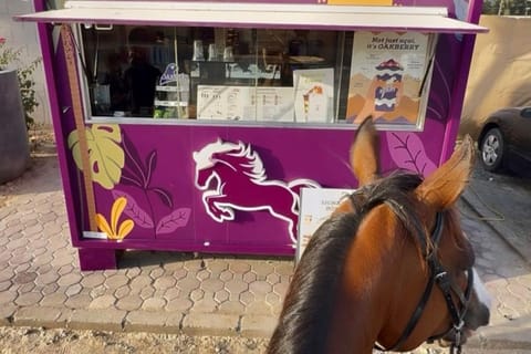 Dubai: Horse Riding Experience with Ride-Thru Açaí Stop