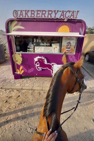 Dubai: Horse Riding Experience with Ride-Thru Açaí Stop