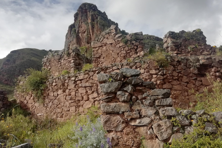 CHEMIN ANCESTRAL DU CONDOR - ÉCOTOURISME ET EXPÉRIENCE VÉCUE