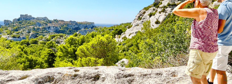 Au départ d'Avignon : circuit Arles, Les Baux-de-Provence et Saint-Rémy