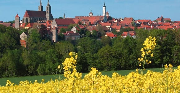 Von Frankfurt aus: Rothenburg ob der Tauber Weintour