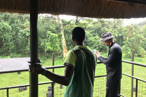 Ngamba Island Chimpanzee, Entebbe and Victoria Tour