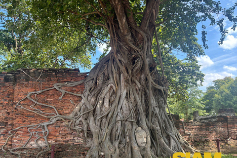 L&#039;incredibile tour degli antichi templi di Ayutthaya: Da BangkokGruppo privato con guida in inglese