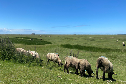 Normandie : Visite guidée privée avec un expert local