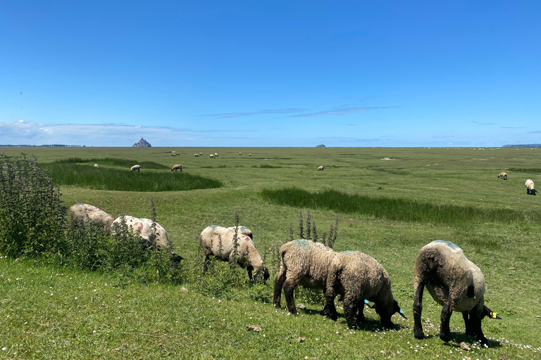 Normandie : Visite guidée privée avec un expert local