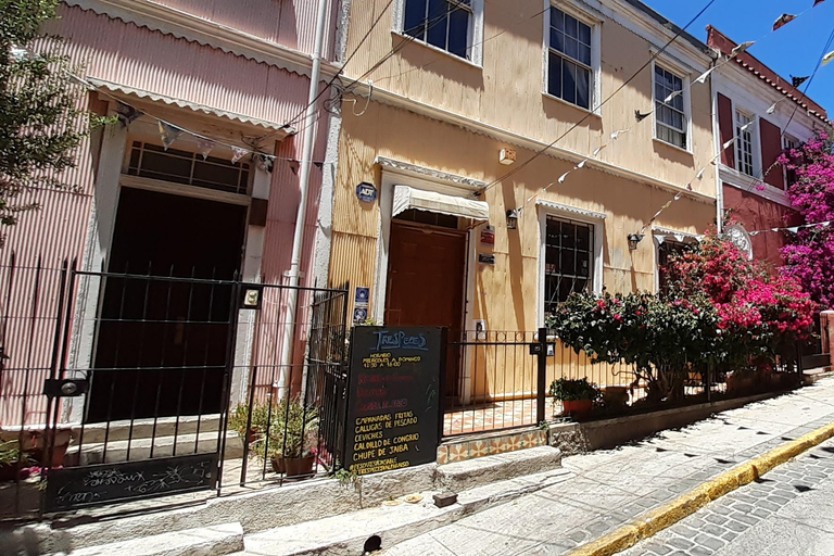 比尼亚德尔马、雷尼亚卡和康康之旅