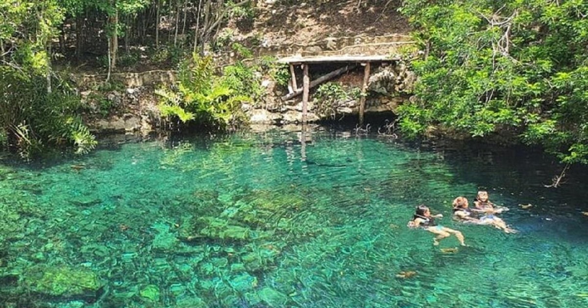 Playa Del Carmen: Excursión Cenotes Casa Tortugas Con Esnórquel 