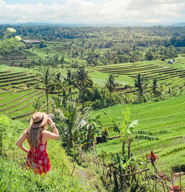 Ulundanu Temple, Handara Gate, Jatiluwih & Tanah Lot Tour | GetYourGuide