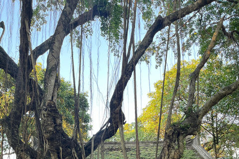 Hanoi Countryside Jeep Experience Hanoi: Countryside & Co Loa Citadel by Jeep