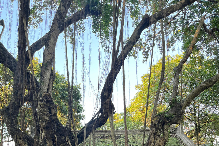 Hanoi Countryside Jeep Experience Hanoi: Countryside & Co Loa Citadel by Jeep